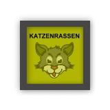 Suche nach Katzen-Rassen