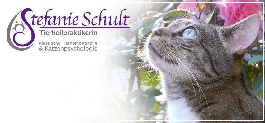 Stefanie Schult Tierheilpraktikerin